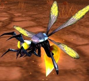 Captured Firefly